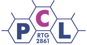 RTG2861